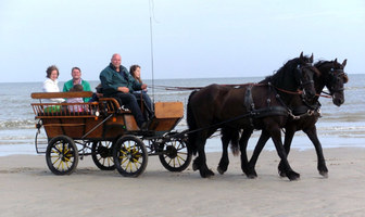 Kutschfahrten Norderney