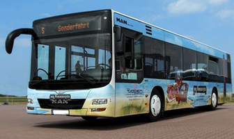 Bus Linie 4